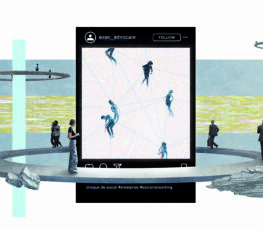 Enterprise Social Networking.